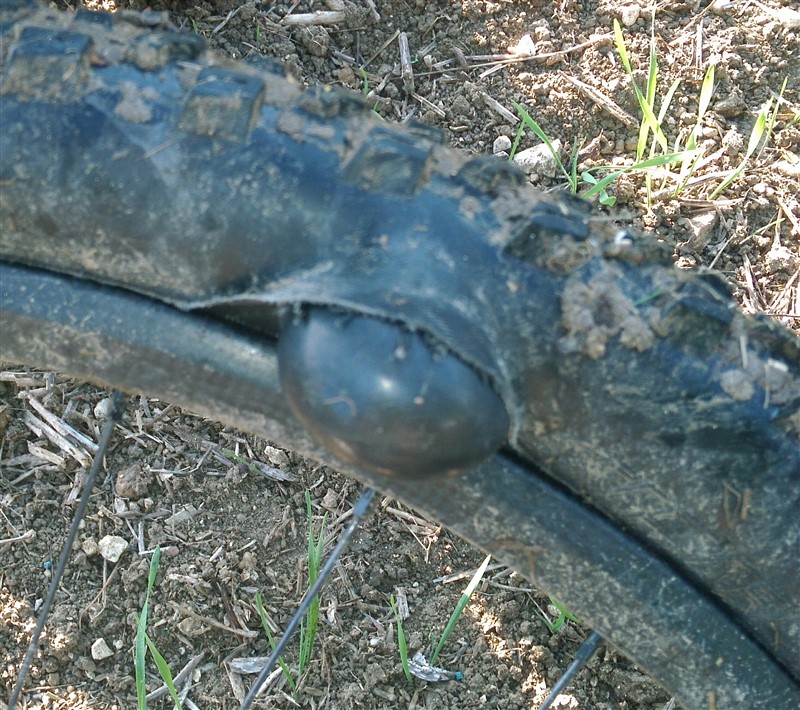 IMG_20171015_180748 (800 x 710).jpg