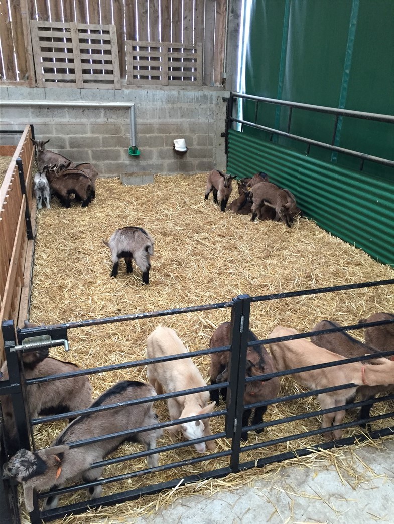 IMG_0494.jpg